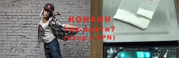 шишки Балахна