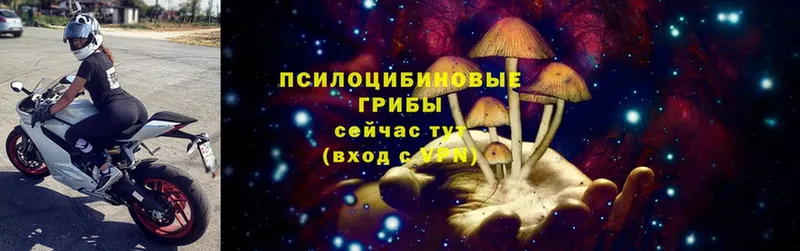 наркота  Ворсма  мега онион  Галлюциногенные грибы MAGIC MUSHROOMS 